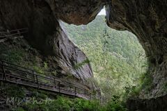 Cat-shaped cave