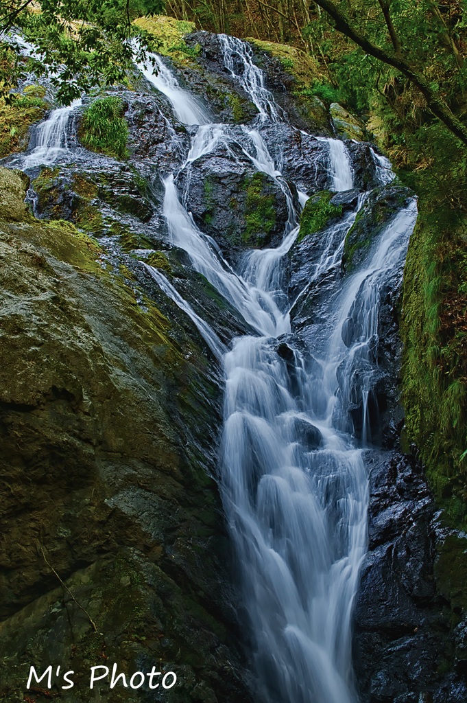 Silky Water