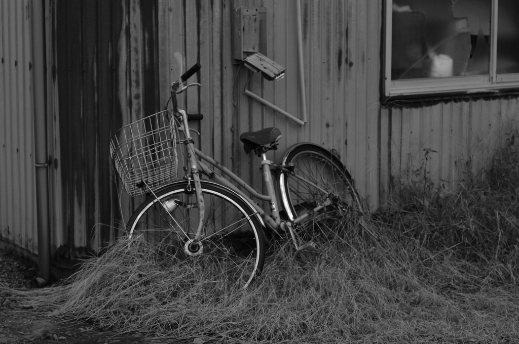 自転車、今日もまた錆びる。