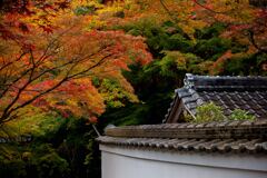 神峰山寺