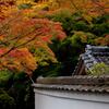 神峰山寺