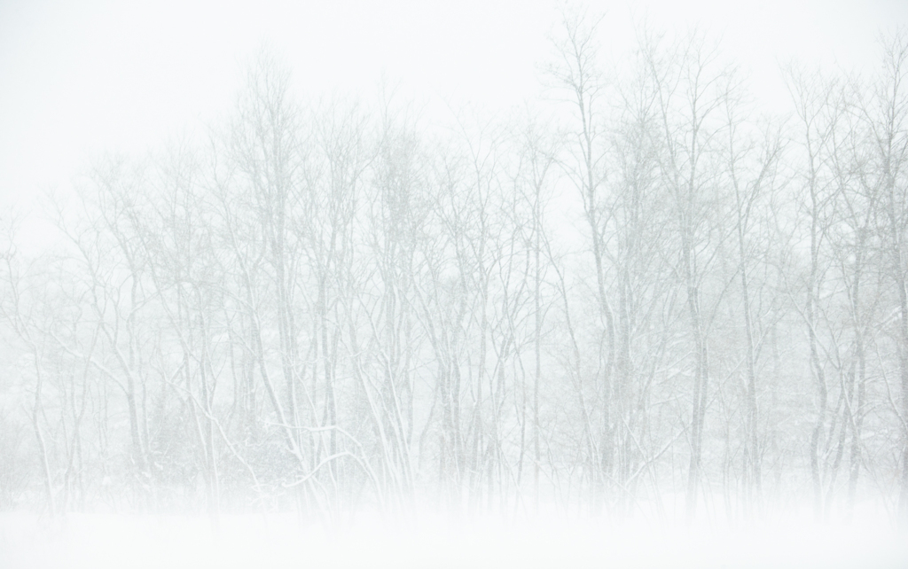 雪嵐