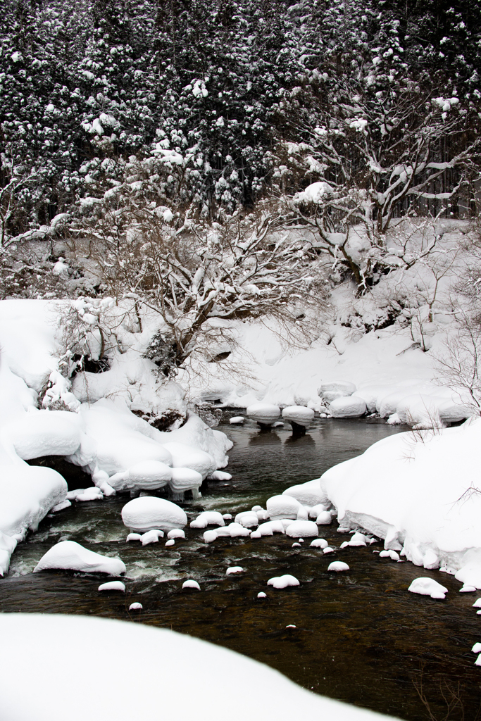 雪の庭園