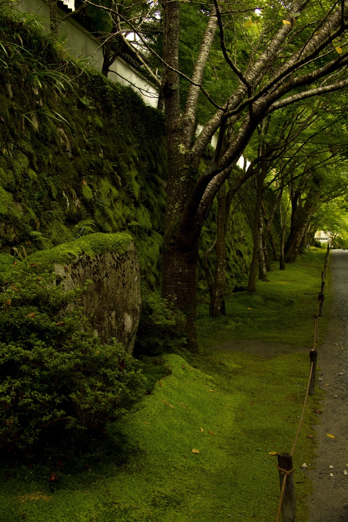 三千院