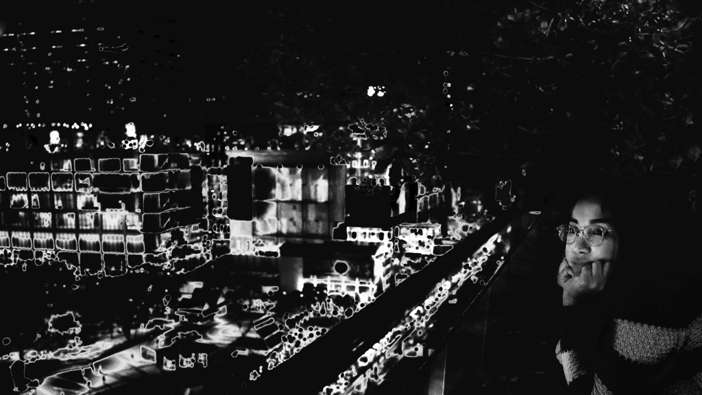 NIGHT  OF  MY  TOWN  