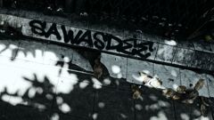 小さな 落書き 見つけた　