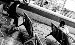 バンビ を狙う 黒ヒョウ　　　　　　