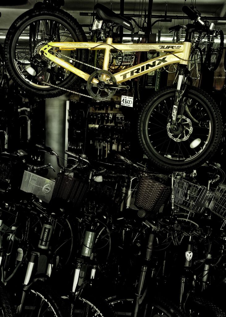 黄 色 い チ ャ リ　