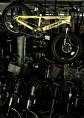 黄 色 い チ ャ リ　