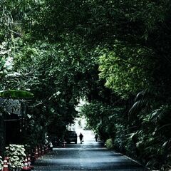 Road