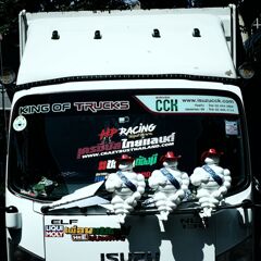 見えんがな～。   