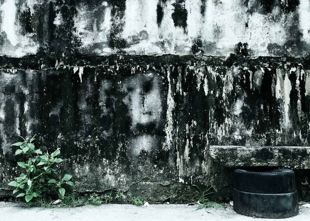 Wall + Tire    