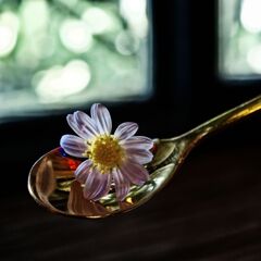 PRESENT  FOR  YOU  
