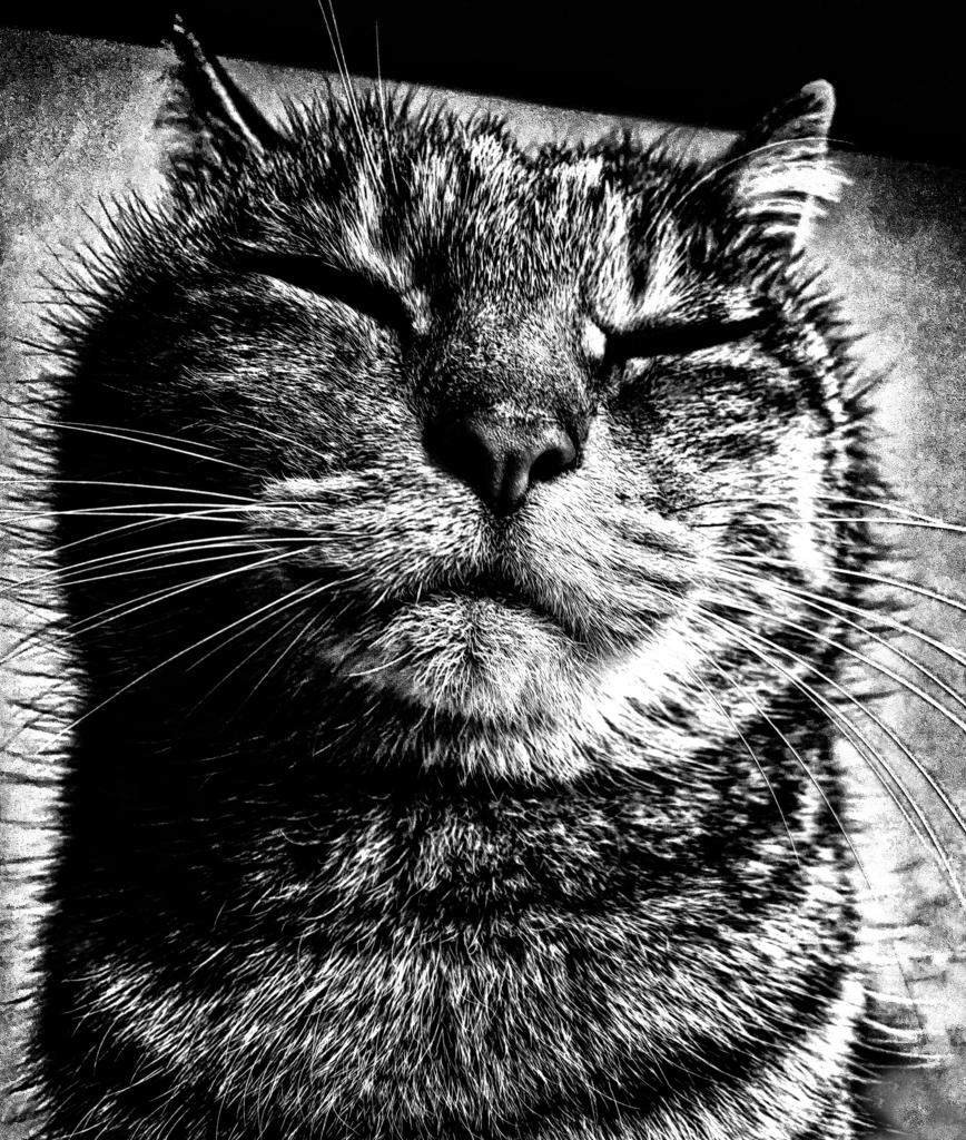 ＰＯＲＴＲＡＩＴ　