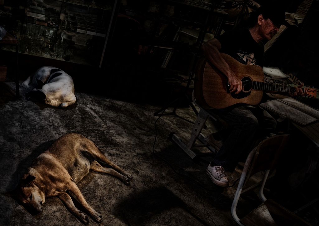 ＳＬＥＥＰＩＮＧ　ＤＯＧＳ　