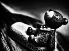 ＳＭＡＬＬ　ＢＥＡＲ　