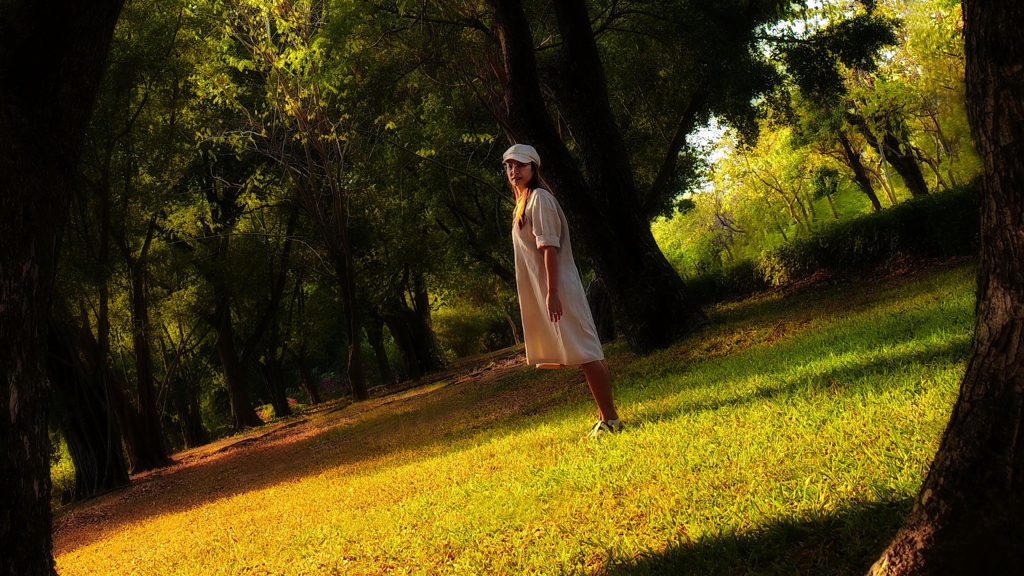 small  forest  