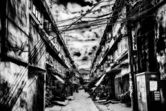 ＥＡＣＨ　ＬＩＦＥ　ＵＮＤＥＲ　ＴＨＥ　ＳＫＹ　　