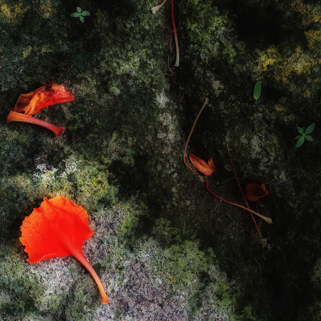 オレンジ とか グリーン とか　　