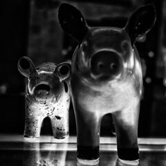ＰＩＧＳ　