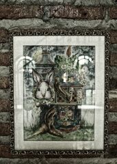 Rabbit      