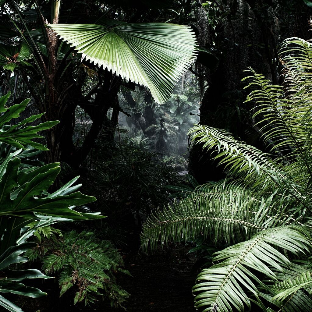 その奥にあるもの。　　　