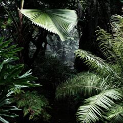 その奥にあるもの。　　　