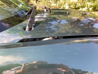 0701_ボンネット_1