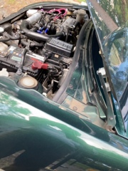 0703_ボンネット3