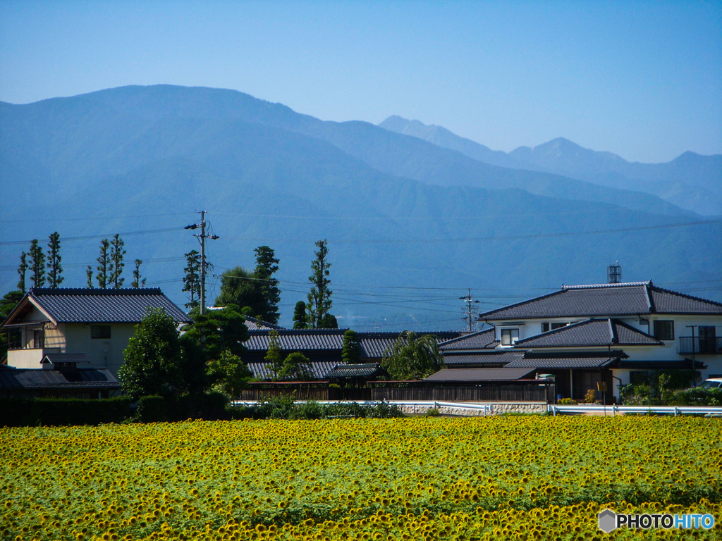 夏の面影