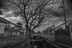 太陽が沈む頃