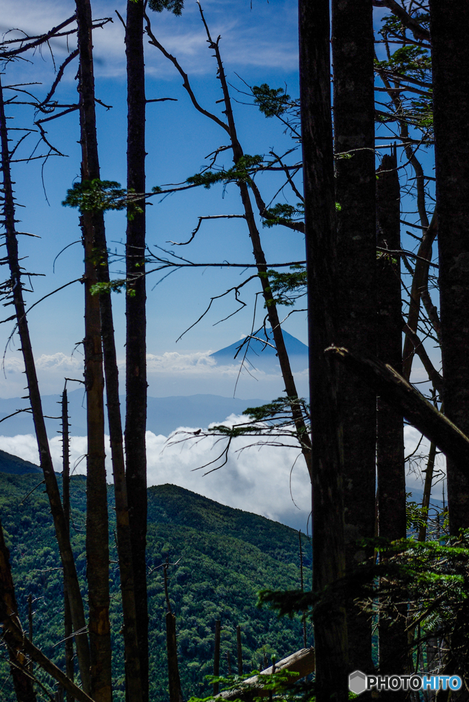 最後の登山道中〜復活あるか？