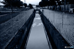 雨上がり