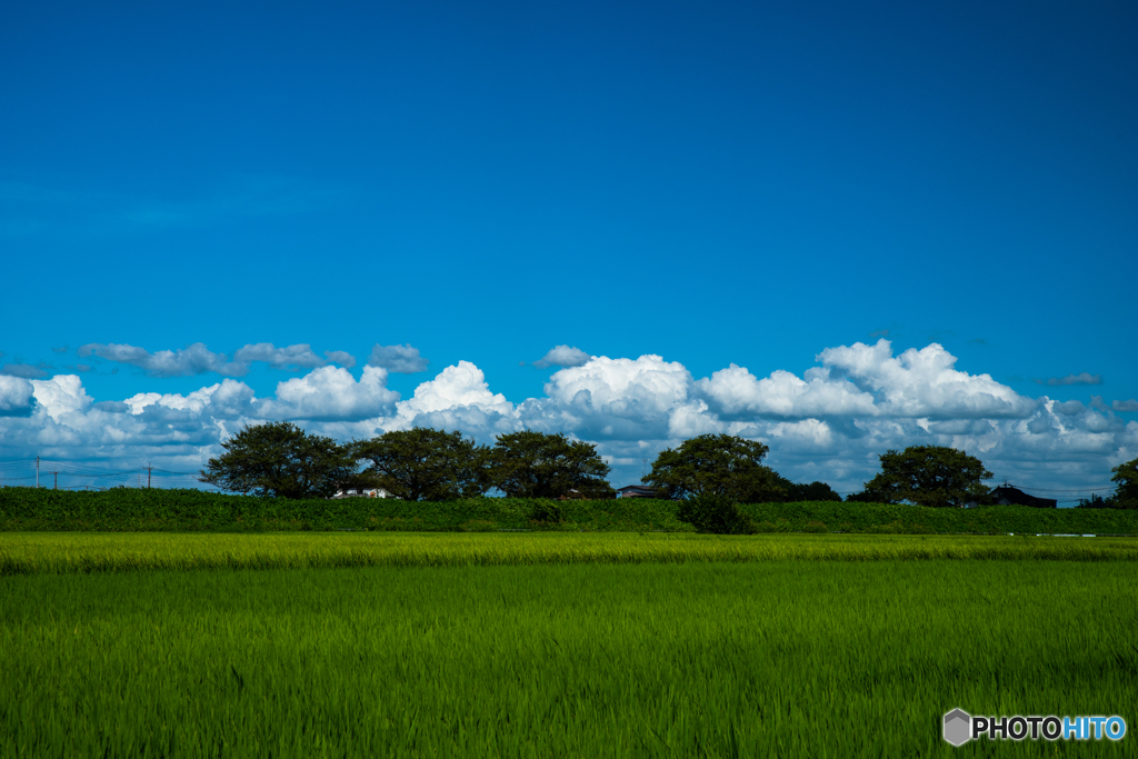 Blue&White&Green
