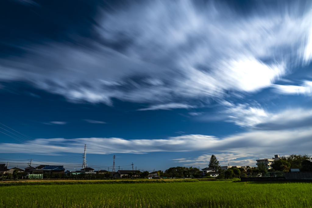 写楽