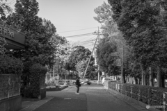 終わりそして未来へ