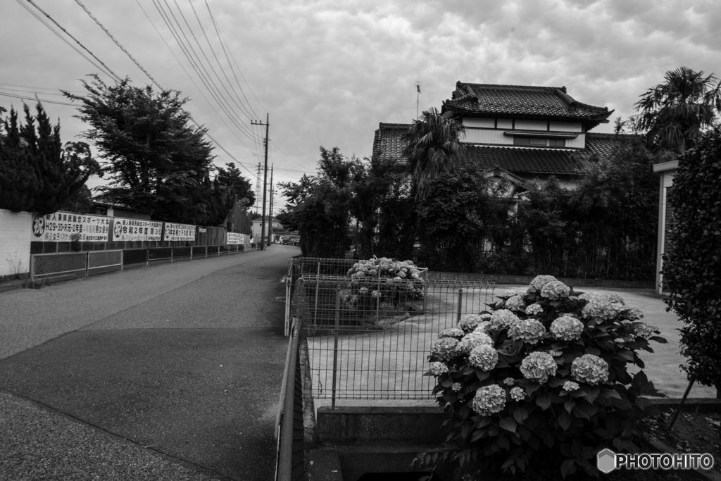 風景スナップ.....