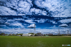 青空
