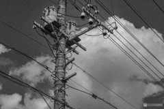 電柱を見上げて空みてごらん