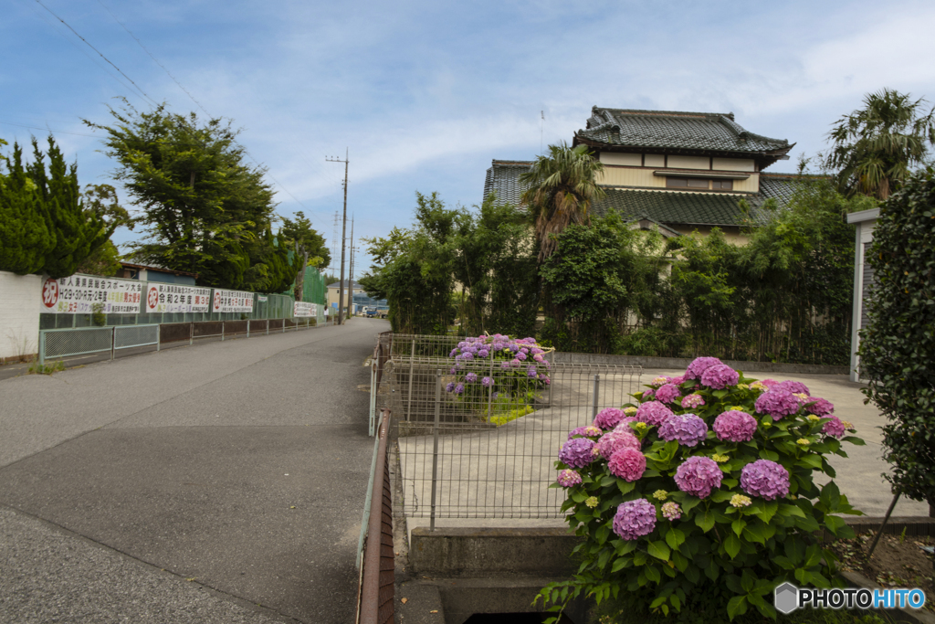 梅雨入り前の晴れ間.......