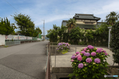 梅雨入り前の晴れ間.......