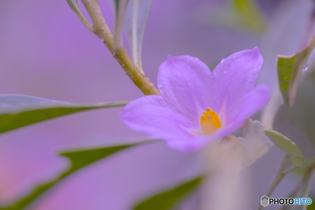 IMGP0182.tif-2 (2)