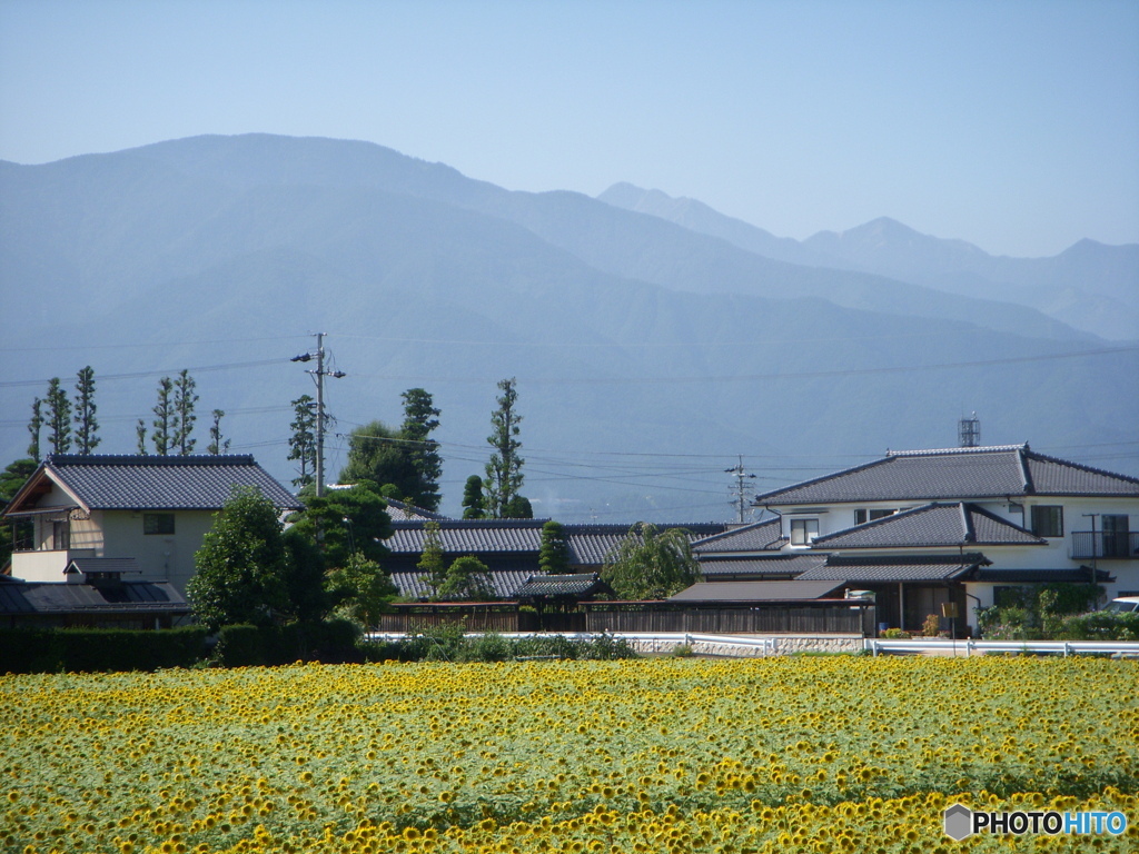 DSCN1009
