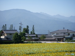 DSCN1009