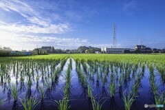 一休み一休み