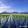 一休み一休み