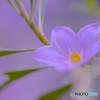 IMGP0182.tif-2