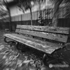 君がいない