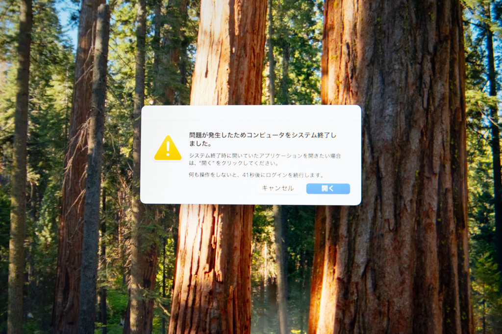 テスト投稿