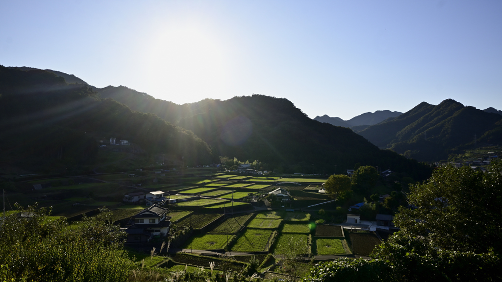 富岡の棚田